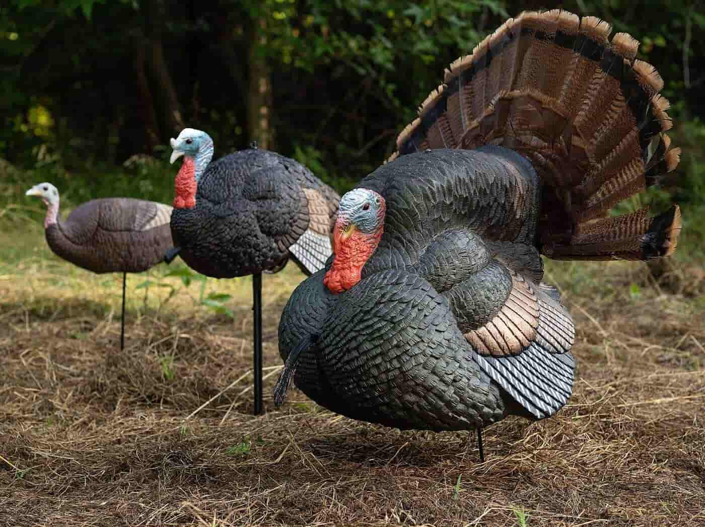 Hunting Calls, Ground Blinds, Shooting Sticks and Accessories - Primos